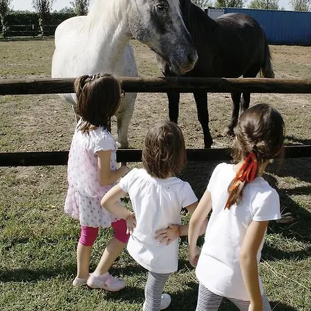 شقة Zio Stefy *
