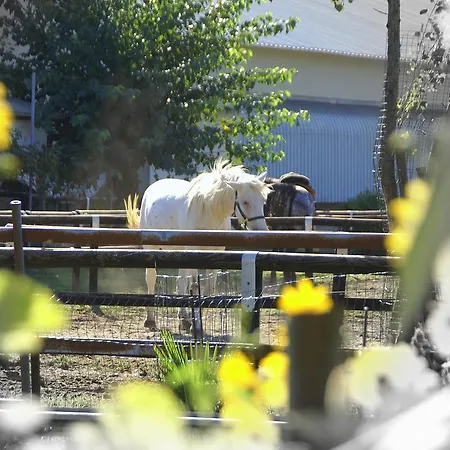 Zio Stefy Cittadella