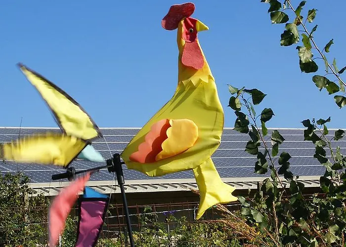 Zio Stefy Apartament