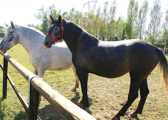 Apartament Zio Stefy *