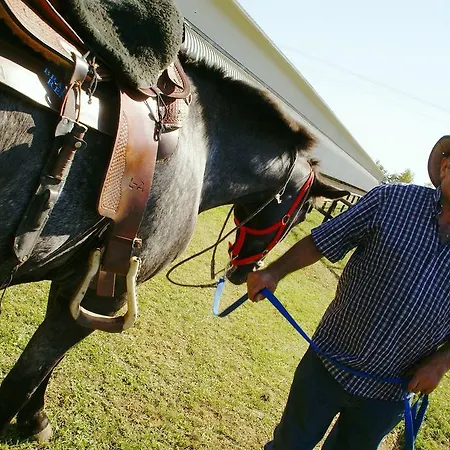 Zio Stefy Appartamento Cittadella