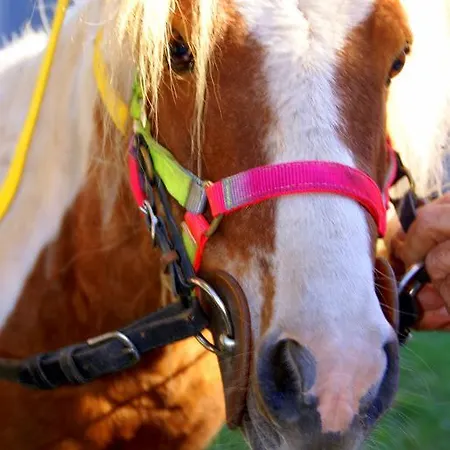 דירה Zio Stefy צ'יטדלה