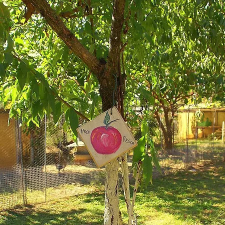 Zio Stefy Cittadella