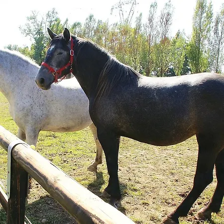 Appartamento Zio Stefy *