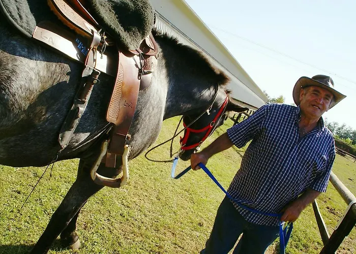 Zio Stefy Appartement Cittadella