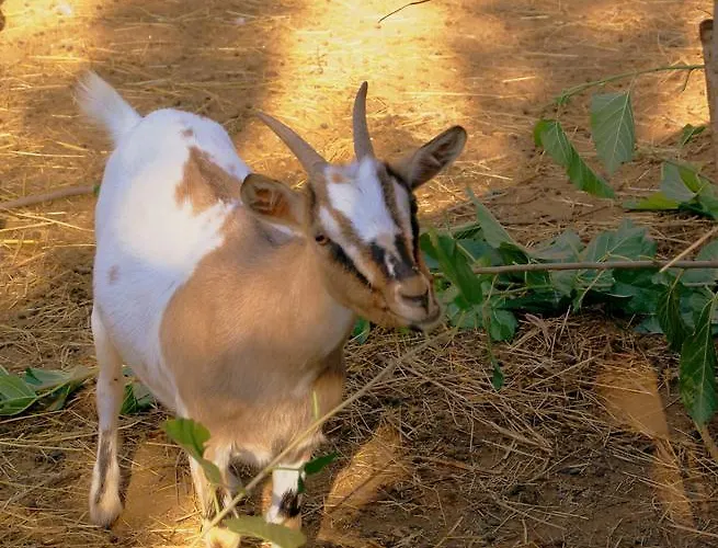 Appartement Zio Stefy Cittadella