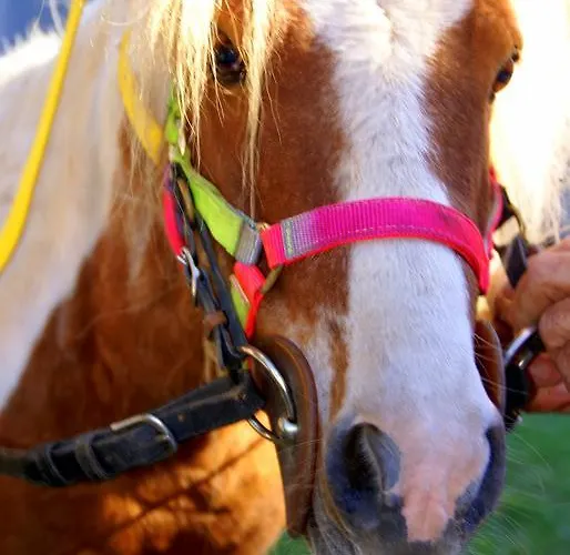 شقة Zio Stefy تْشيتاديلاّ