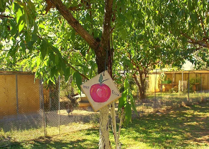 Zio Stefy تْشيتاديلاّ